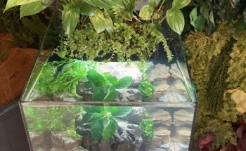 Kaminature - Jardines verticales, acuarios y césped artificial