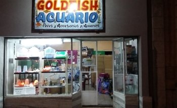 Acuario Goldfish
