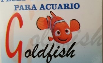 Acuario Goldfish