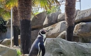 Sea Life Blankenberge