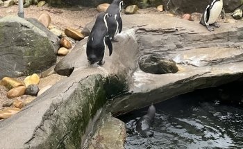 Sea Life Blankenberge