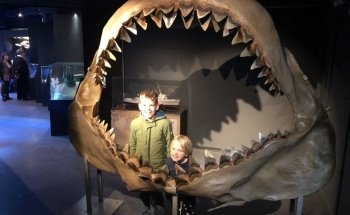 Aquarium-Museum of Liège
