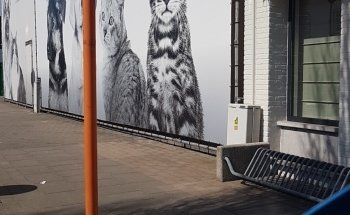 Boutsen Dierenspeciaalzaak - Hengelsport