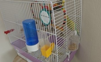 Boutsen Dierenspeciaalzaak - Hengelsport