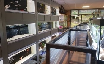 Aqua Service - Aquarium Store