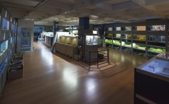 Aqua Service - Aquarium Store