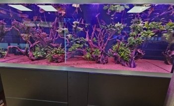 Aqua Service - Aquarium Store