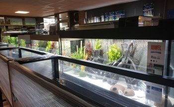 Aqua Service - Aquarium Store