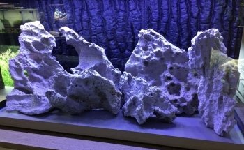 Aqua Service - Aquarium Store