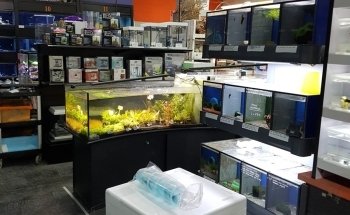Aquarium del Ges