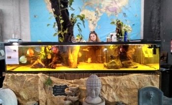 Aquarium del Ges