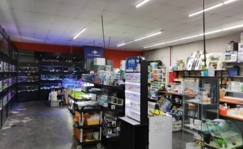 Aquarium del Ges
