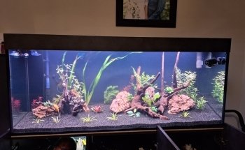 Aqualife NV