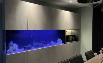 Aqualife NV