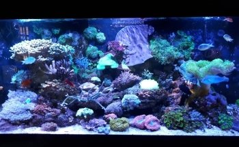 Aqualife NV