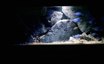 Aqualife NV