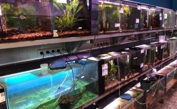 Tuincentrum Berden