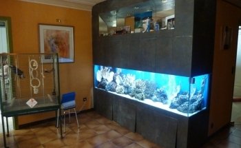 Locafish Aquarium