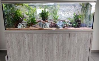 Locafish Aquarium