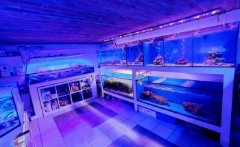 Aquatic Store