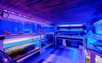 Aquatic Store