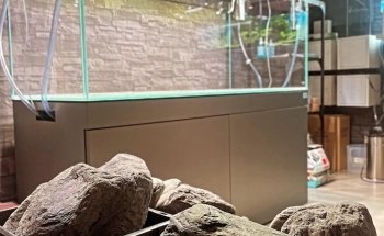 Aquascaping Charleroi UNIQUEMENT SUR RENDEZ-VOUS ou prévenir 30 min avant.