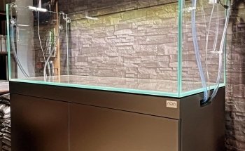 Aquascaping Charleroi UNIQUEMENT SUR RENDEZ-VOUS ou prévenir 30 min avant.