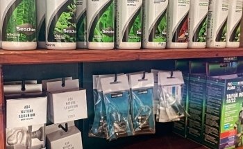 Aquascaping Charleroi UNIQUEMENT SUR RENDEZ-VOUS ou prévenir 30 min avant.