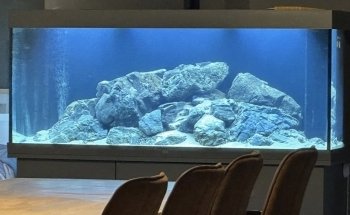 Aquascaping Charleroi UNIQUEMENT SUR RENDEZ-VOUS ou prévenir 30 min avant.