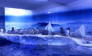 SEA LIFE London Aquarium