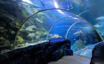 National SEA LIFE Centre Birmingham