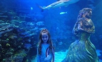 National SEA LIFE Centre Birmingham