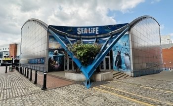 National SEA LIFE Centre Birmingham