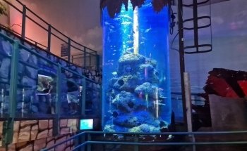 National SEA LIFE Centre Birmingham