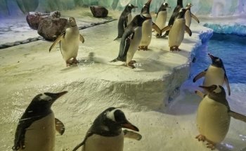 National SEA LIFE Centre Birmingham