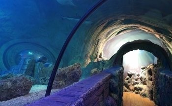 SEA LIFE Blackpool
