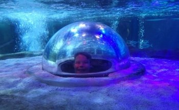 SEA LIFE Blackpool