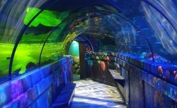 SEA LIFE Brighton