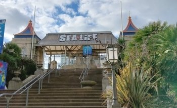 SEA LIFE Brighton