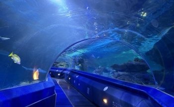 Blue Planet Aquarium