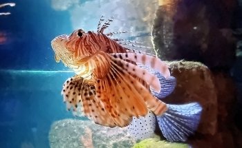Blue Planet Aquarium