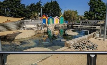SEA LIFE Centre Weymouth
