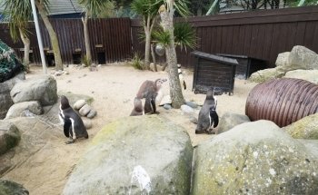 SEA LIFE Centre Weymouth