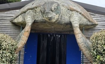 SEA LIFE Centre Weymouth