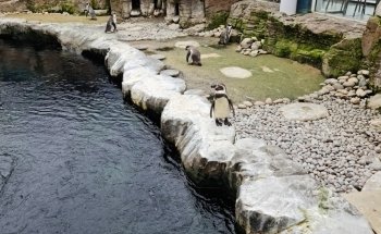 Oceanarium