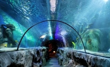SEA LIFE Great Yarmouth