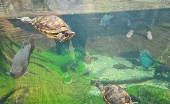 Bristol Aquarium