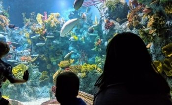 Bristol Aquarium