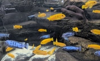 Bristol Aquarium