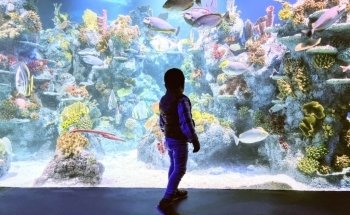 Bristol Aquarium